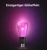 Philips Hue White & Color Ambiance Lightguide Giant Edison Produktbild-Vorschau 5
