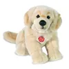 Golden Retriever, 30 cm, peluche Voir les images du produit 1