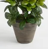 Mica Decorations Azalee Kunstpflanze im Blumentopf Stan - Produktbild-Vorschau 4