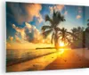 Bilder auf glas - Meer Strand Palme - 70x50cm - Glasbilder Produktbild-Vorschau 1
