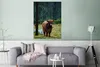 MuchoWow® Poster Schottischer Hochländer - Wald - Moos Produktbild-Vorschau 5