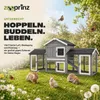 zooprinz Hasenstall Don Camillo | XXL mit Doppelauslauf | Produktbild-Vorschau 10