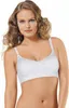 Damen Nahtlos Seamless Soft Cup Push Up Sport BH mit Produktbild-Vorschau 3