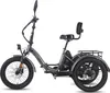 FAFREES F20 Mate Triporteur Électrique - Batterie Voir les images du produit 3