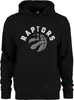 New Era Toronto Raptors Team Logo PO Hoody Sweater NBA Produktbild-Vorschau 9