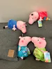 Peppa Pig grün Kuscheltier Peppa Wutz Plüschtier XXL 30 cm Produktbild-Vorschau 3