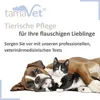 tamaVet® Giardien Schnelltest | für Hund & Katze Produktbild-Vorschau 2