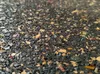 Sedco Weight/Fitness floor EPDM COMPOSITION 50x50x1,5 cm Voir les images du produit 2