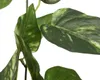 Girlande Kunstpflanze Kunstblume Polyester grün Höhe 180 cm Produktbild-Vorschau 2