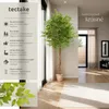 Umělý fíkus Fida, realistická textura - 180 cm Náhled obrázku produktu 3