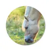 MuchoWow® Mauspad Mousepad Weidendes Fjordpferd an einem Produktbild-Vorschau 1
