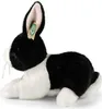 RAPPA Coniglio di peluche 25 cm ECO-FRIENDLY Anteprima dell’immagine prodotto 5