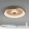 LED Deckenleuchte, messing, dimmbar, Fernbedienung, H 9,5 Produktbild-Vorschau 14