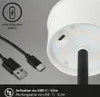 Close-up of a rechargeable light with a USB-C cable. Produktbild-Vorschau