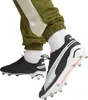 Puma King Ultimate FG/AG Herren Fußballschuhe Stollenschuhe Produktbild-Vorschau 13