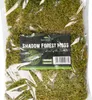Terrario Shadow Forest Moss - muschio naturale 35x28cm Anteprima dell’immagine prodotto 16