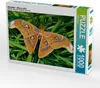 CALVENDO Puzzle Atlasfalter - Attacus atlas 1000 Teile Produktbild-Vorschau 1