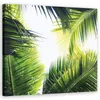 Leinwandbild Palmblätter Pflanzen Natur 50x50 Feeby Grün Produktbild-Vorschau 1