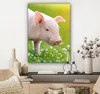 MuchoWow® - Leinwandbilder - Tiere - Ferkel - Schwein, Produktbild-Vorschau 7