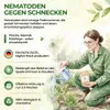 Green Guardia Nematoden gegen Nacktschnecken – 10 Mio. für Produktbild-Vorschau 5