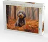 CALVENDO Puzzle Aussiedoodle im Herbstwald | 1000 Teile Produktbild-Vorschau 2