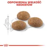 Royal Canin Feline Outdoor 2kg Náhled obrázku produktu 8