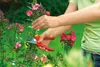 Tuinschaar Productafbeelding-voorbeeld 3