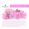 CristinenMoor Zinksalbe 50 ml, Naturkosmetik, pflegt und Produktbild-Vorschau 4