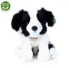 Peluche Border Collie 27 Cm Ecologico Anteprima dell’immagine prodotto 15