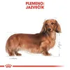 Klein Royal Canin Dachshund Adulto Pollo Arroz Aves 1,5 Kg Produktbild-Vorschau 13