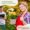 MePla - 2 Stück Kunststoff-Übertopf VERO ø 13 weiss/pink Produktbild-Vorschau 4