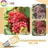ZMH 4 kusy žárovka E14 LED teplá bílá vintage T22 LED Náhled obrázku produktu 6