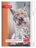Roth HA-Hefte KidsuTiere für clevere Faule Luchs Produktbild-Vorschau 1