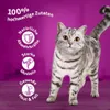 WHISKAS, cibo umido in gelatina per gatti, 12 confezioni da Anteprima dell’immagine prodotto 3