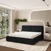 Masseno Polsterbett FELURO 160x200 cm, Polsterbett mit Produktbild-Vorschau 1