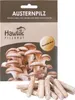A product package for oyster mushroom growing kit, showing a picture of mushrooms and dowels. Voir les images du produit