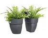 Blumenkasten zum Hängen Elho Vibia Campana flower twin Produktbild-Vorschau 3