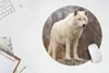 MuchoWow® Mauspad Mousepad Wolf - Stein - Weiß 50x50 cm - Produktbild-Vorschau 5