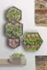Glorex Design-Rahmen Holz Sechseck 3 Stück Produktbild-Vorschau 2