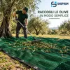 Rete Antispina Raccolta Olive 8x12 MT in PE Anteprima dell’immagine prodotto 8