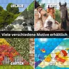 Bedruckter Sichtschutz WANGEROOGE Foto-Motiv  Zaun Produktbild-Vorschau 5