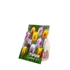 Bloomique - Mélange de 20 - Tulipa Rembrandt Mix - Bulbes Voir les images du produit 2