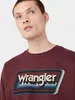 WRANGLER Herren, Sweatshirt GRAPHIC CREW, L, Braun, ralph, Produktbild-Vorschau 4