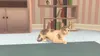 Cat Rescue Story Nintendo Switch-Spiel Produktbild-Vorschau 8