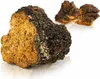 Chaga 90 capsule Anteprima dell’immagine prodotto 4