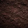 A close-up, top-down view of dark brown soil with small organic particles. Produktbild-Vorschau