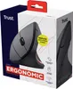 Trust Verto Kabellose Vertikale Maus, Wireless Ergonomische Produktbild-Vorschau 10