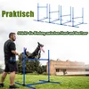 LARS360 4 x překážky Agility vybavení pro psy Slalomové Náhled obrázku produktu 5