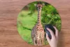 MuchoWow® Mauspad Mousepad Baby - Giraffe - Pflanzen 50x50 Produktbild-Vorschau 3