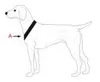 Collare in cuoio Palkar per cani 80 cm x 40 mm marrone Anteprima dell’immagine prodotto 3